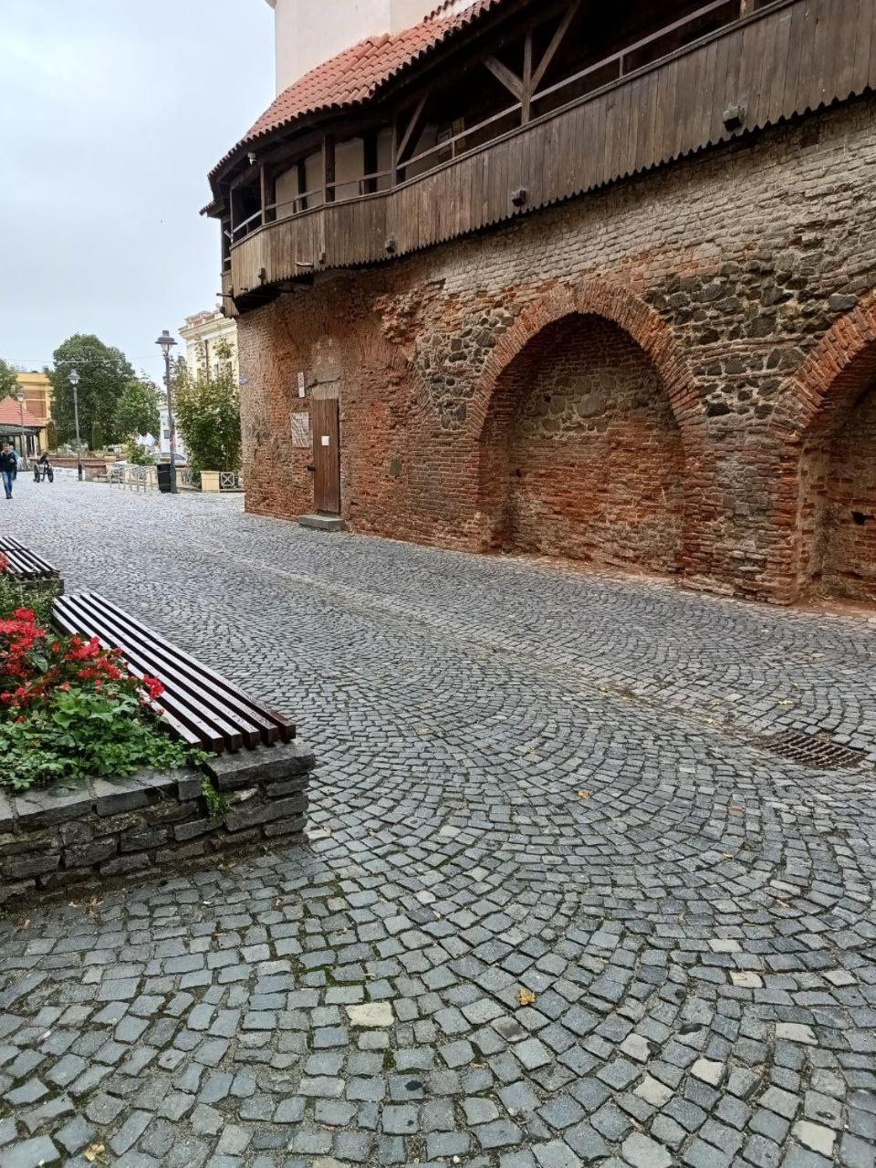 Old Town Cozy Nest Apartment Sibiu Luaran gambar