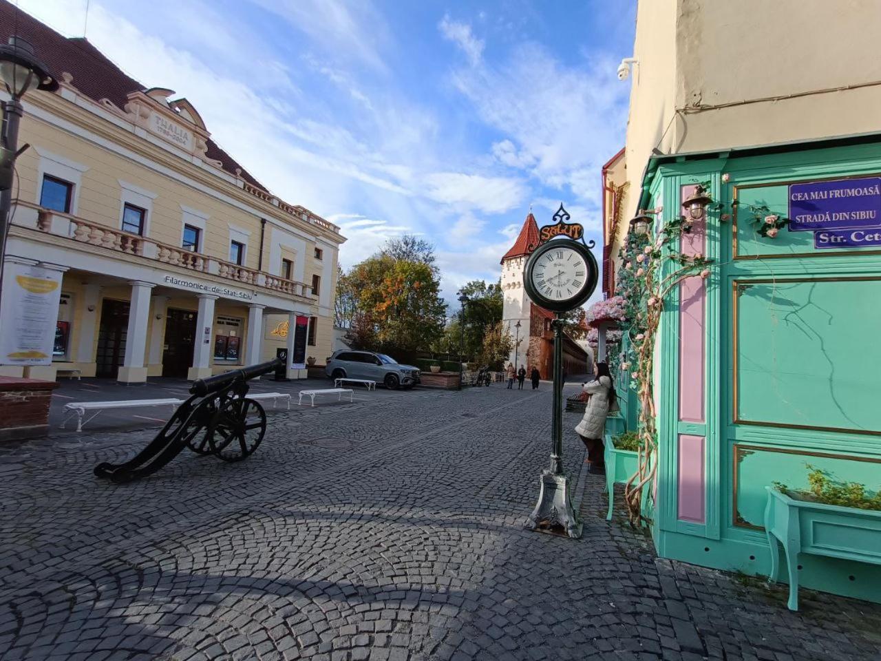 Old Town Cozy Nest Apartment Sibiu Luaran gambar