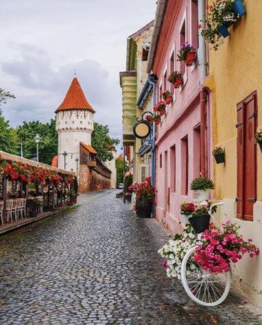 Old Town Cozy Nest Apartment Sibiu Luaran gambar